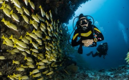 Penginapan Ramah Lingkungan (Eco-Lodge) Jadi Primadona Wisata Alam